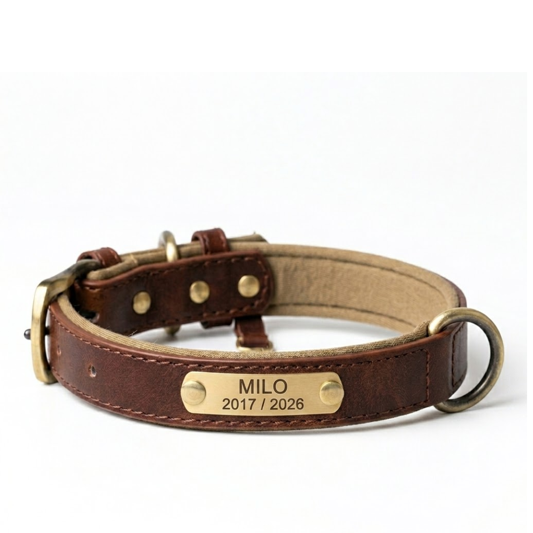 Personalized Leather Dog Collar